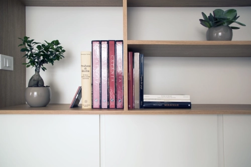 Uno scaffale di legno contiene una varietà di libri e due piccole piante in vaso. I libri sono disposti in pile sia verticali che orizzontali, con titoli in colori diversi. Una pianta è sul lato sinistro in un vaso rotondo, e l'altra è sul lato destro in un vaso quadrato. Ipogeo Architetti